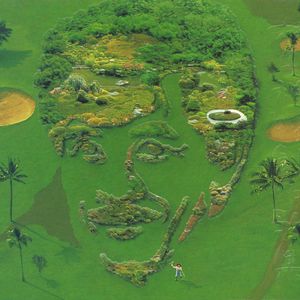 谷歌老司机版(海外版)
