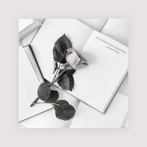 谷歌老司机版(海外版)
