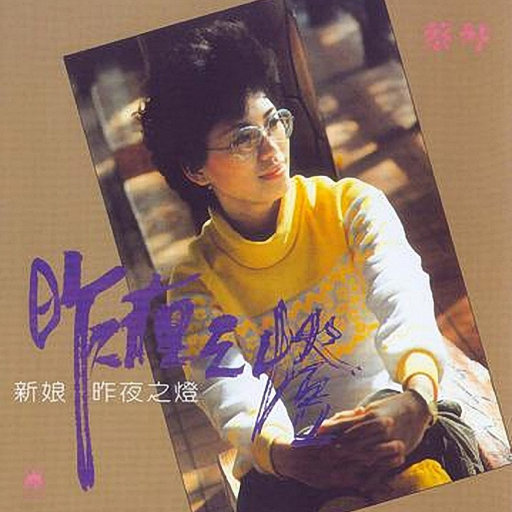 谷歌老司机版(海外版)
